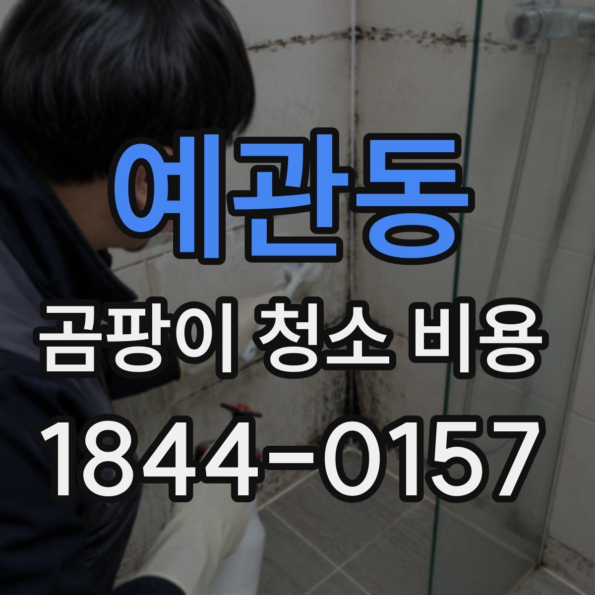 예관동 곰팡이 청소 비용