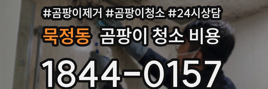 묵정동 곰팡이 청소 비용