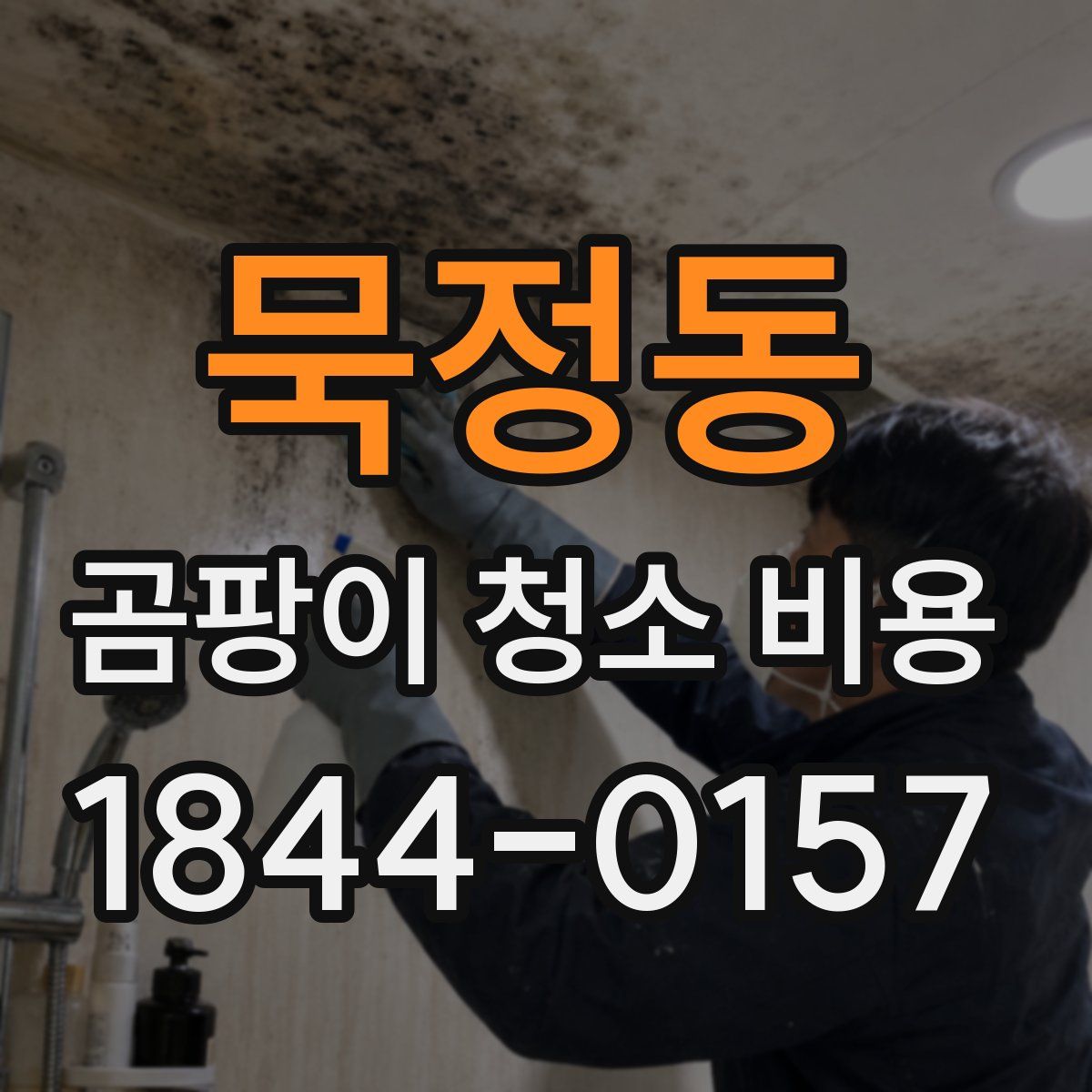 묵정동 곰팡이 청소 비용