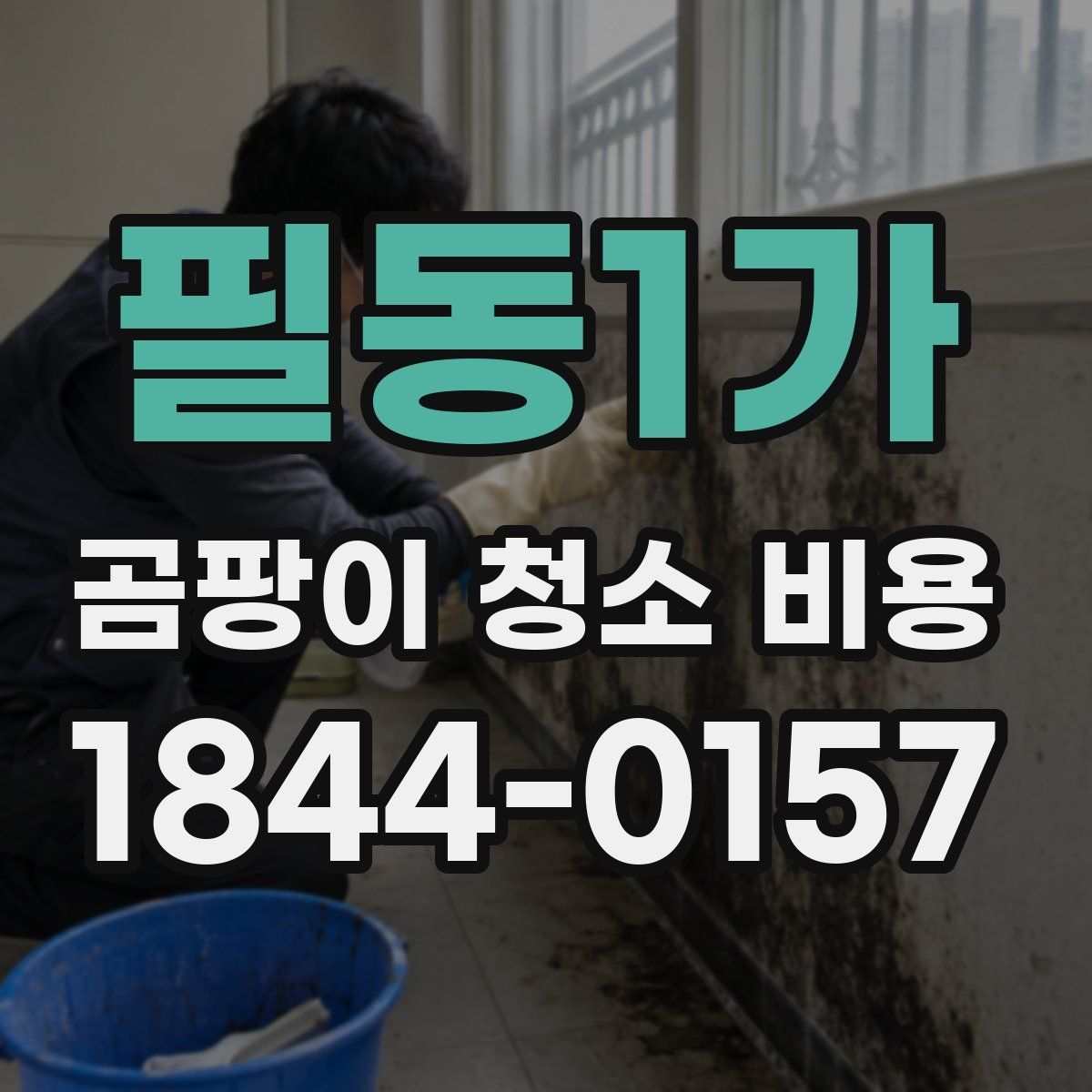 필동1가 곰팡이 청소 비용