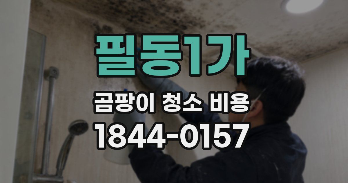 필동1가 곰팡이 청소 비용