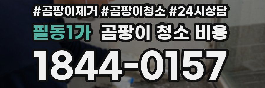 필동1가 곰팡이 청소 비용