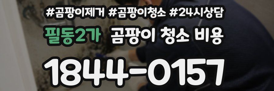 필동2가 곰팡이 청소 비용