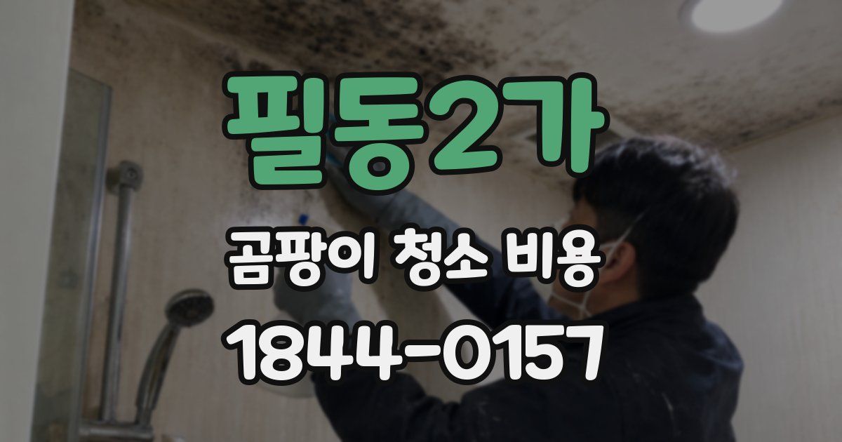 필동2가 곰팡이 청소 비용