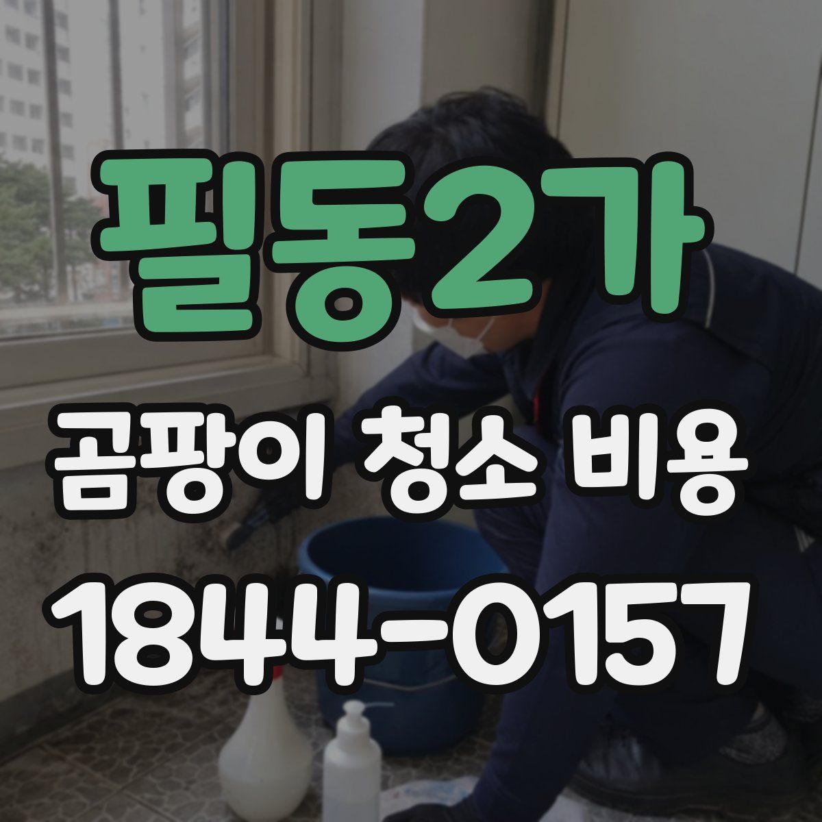 필동2가 곰팡이 청소 비용