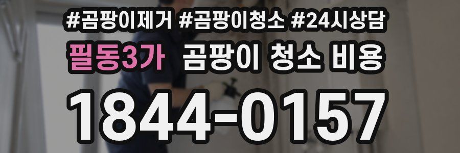 필동3가 곰팡이 청소 비용