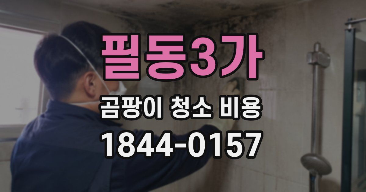 필동3가 곰팡이 청소 비용