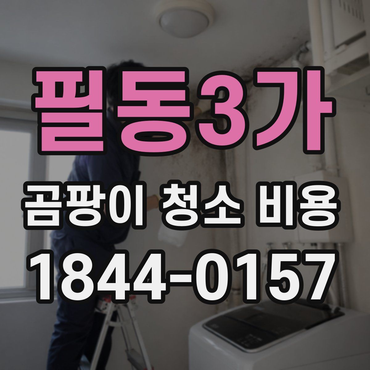 필동3가 곰팡이 청소 비용