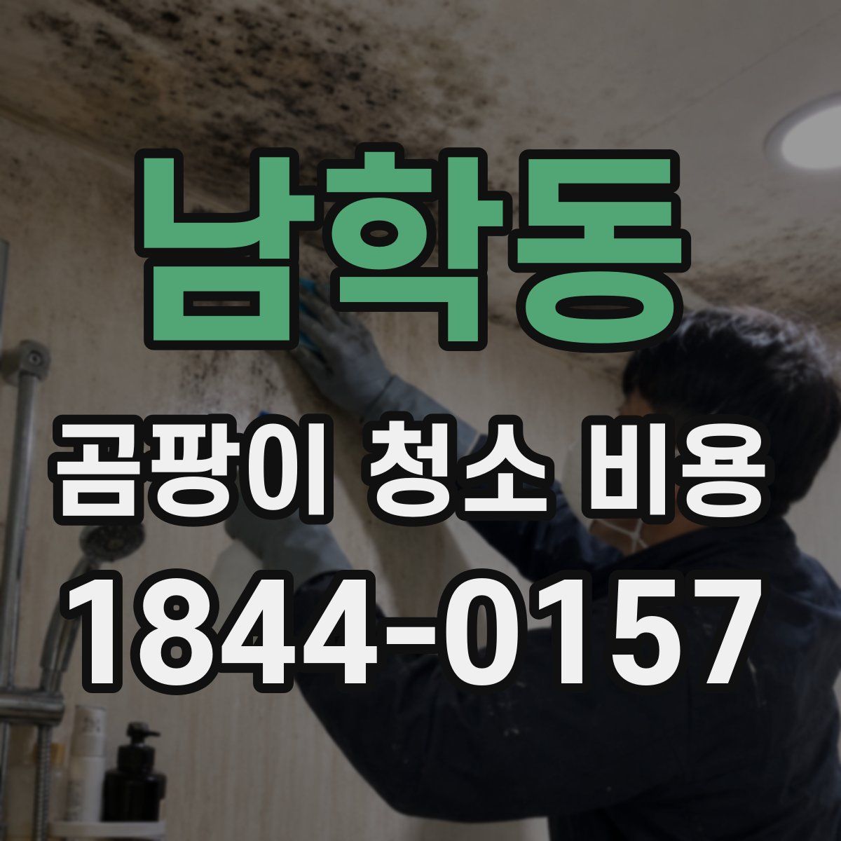 남학동 곰팡이 청소 비용