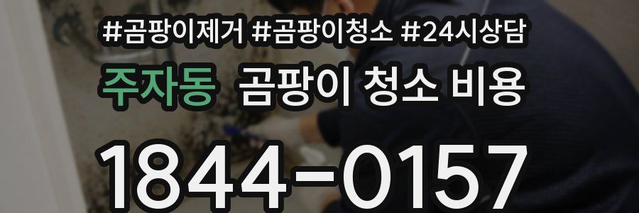 주자동 곰팡이 청소 비용
