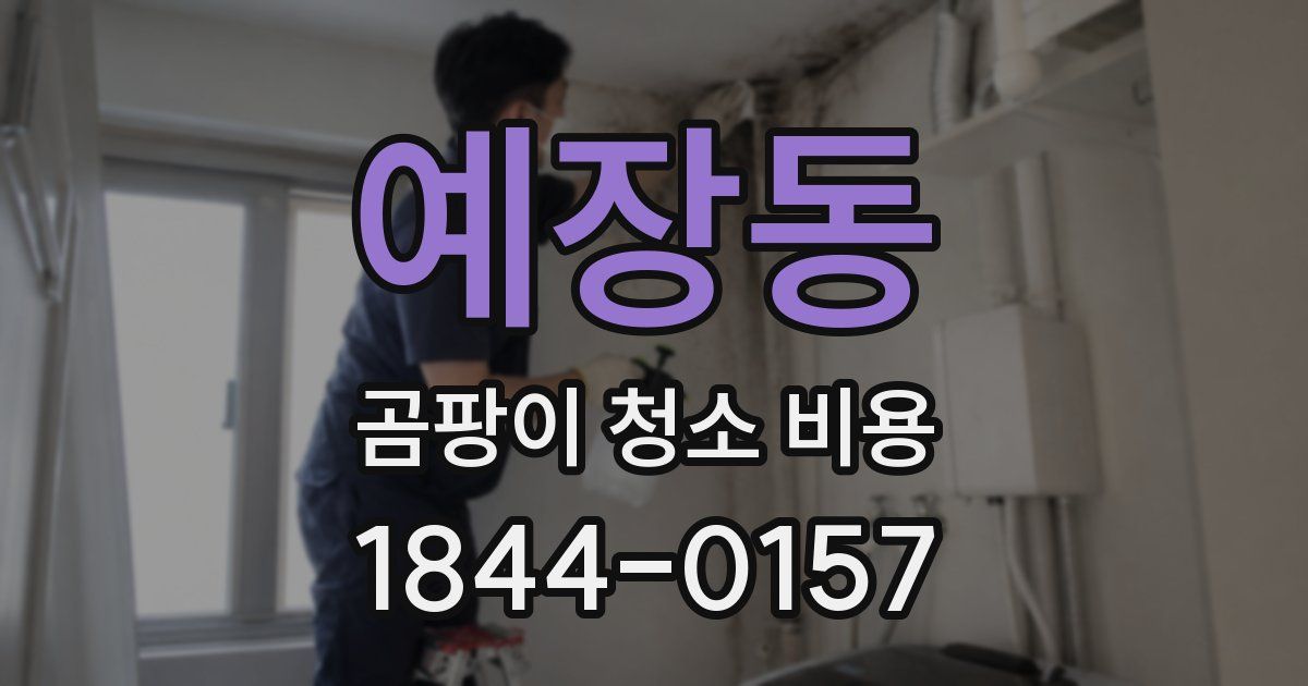 예장동 곰팡이 청소 비용