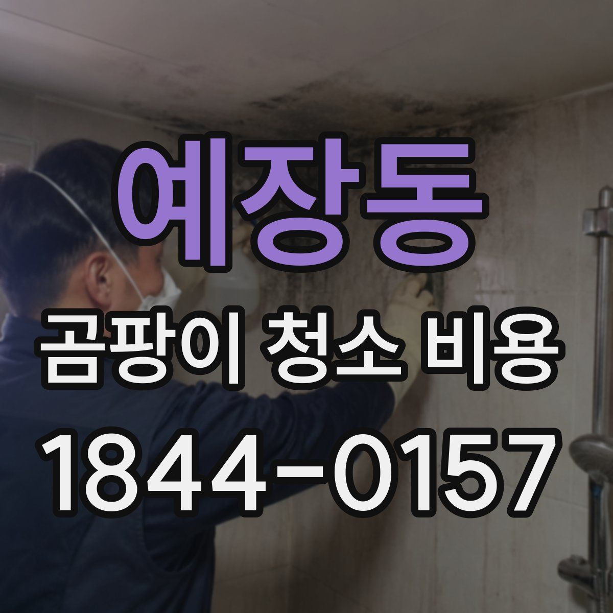 예장동 곰팡이 청소 비용
