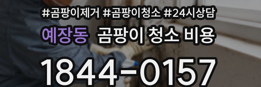 예장동 곰팡이 청소 비용