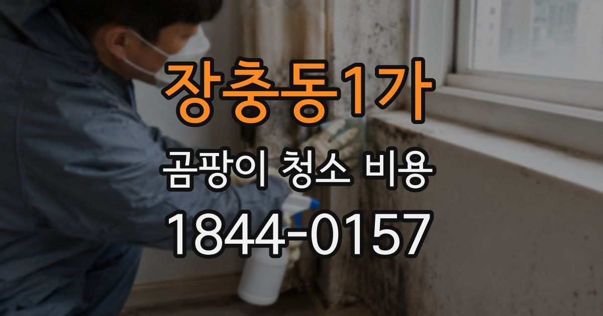 장충동1가 곰팡이 청소 비용