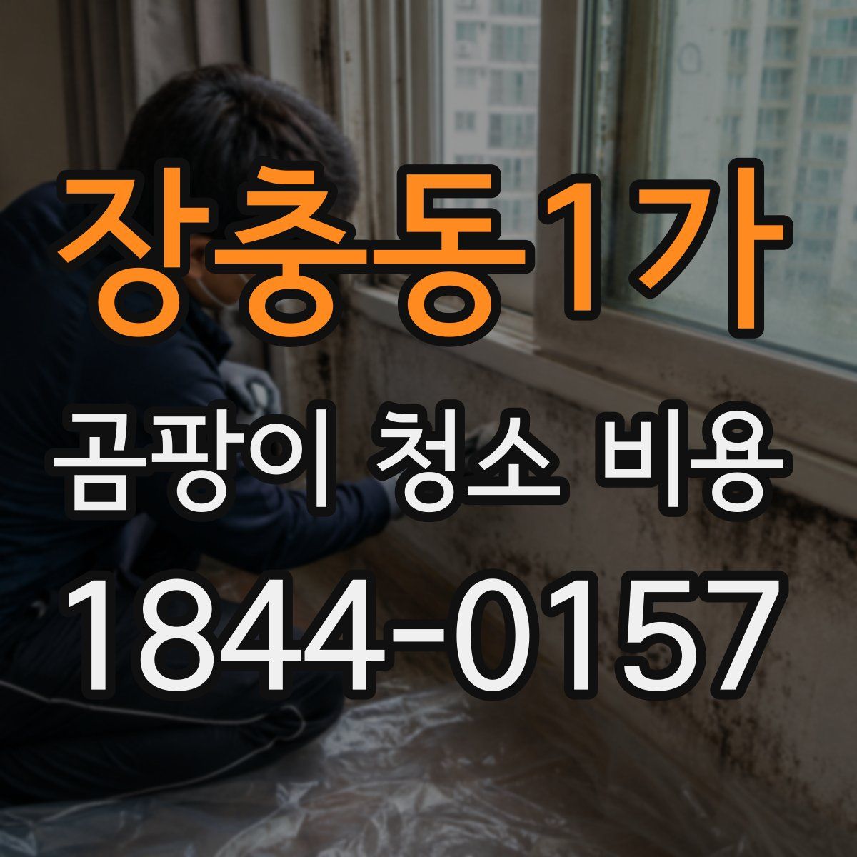 장충동1가 곰팡이 청소 비용