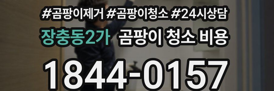 장충동2가 곰팡이 청소 비용
