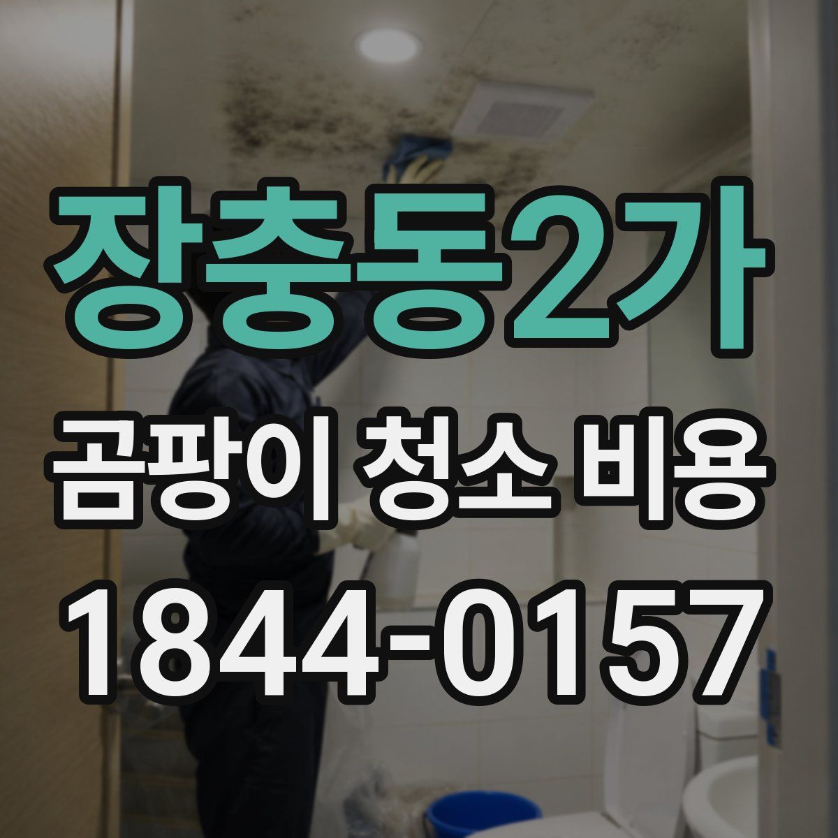 장충동2가 곰팡이 청소 비용