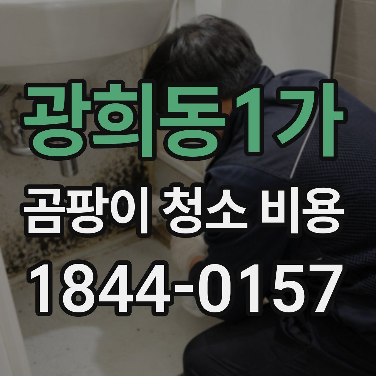광희동1가 곰팡이 청소 비용