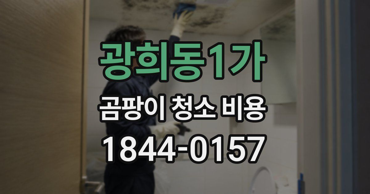 광희동1가 곰팡이 청소 비용