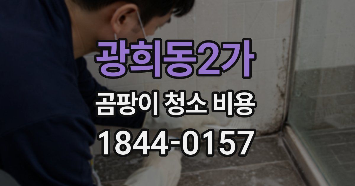 광희동2가 곰팡이 청소 비용