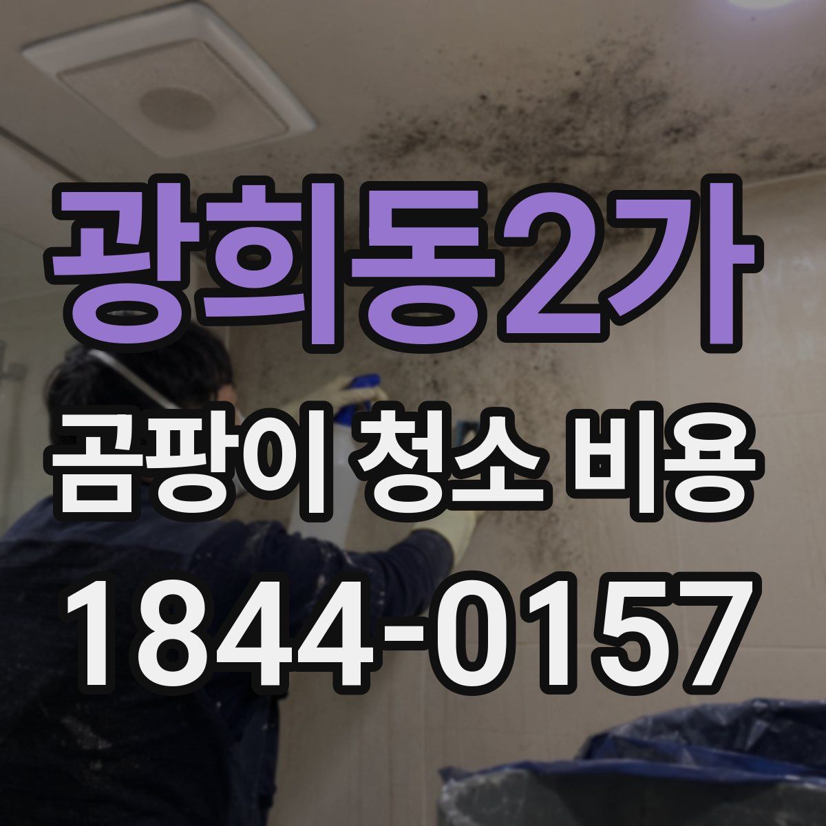 광희동2가 곰팡이 청소 비용