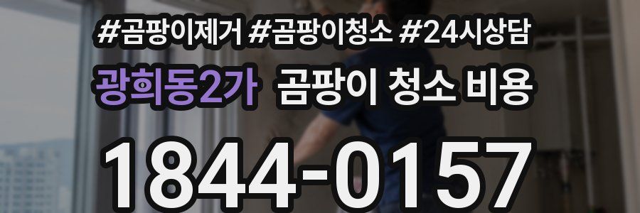 광희동2가 곰팡이 청소 비용