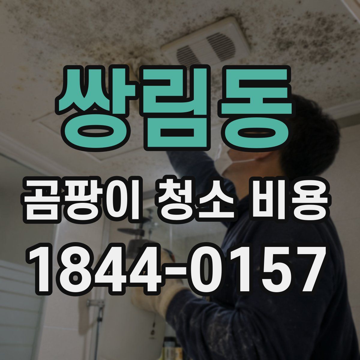 쌍림동 곰팡이 청소 비용