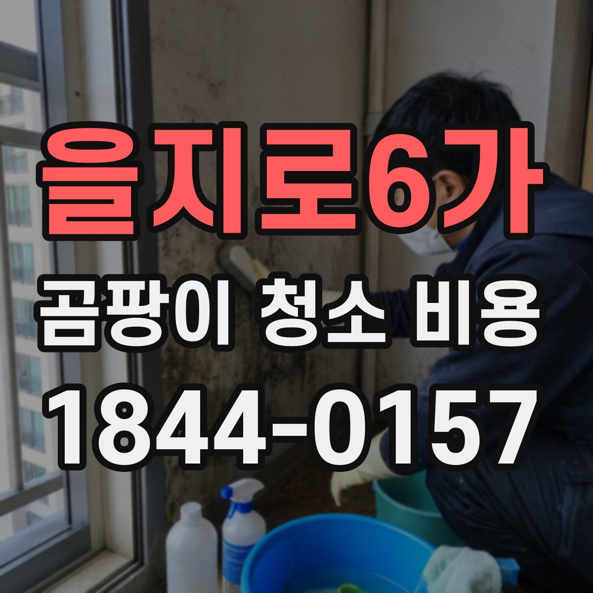 을지로6가 곰팡이 청소 비용