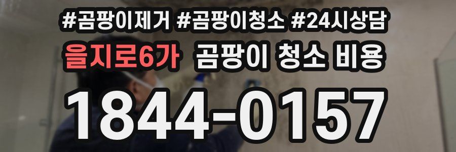 을지로6가 곰팡이 청소 비용