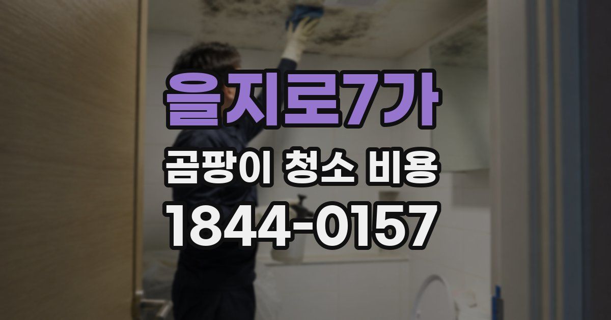 을지로7가 곰팡이 청소 비용