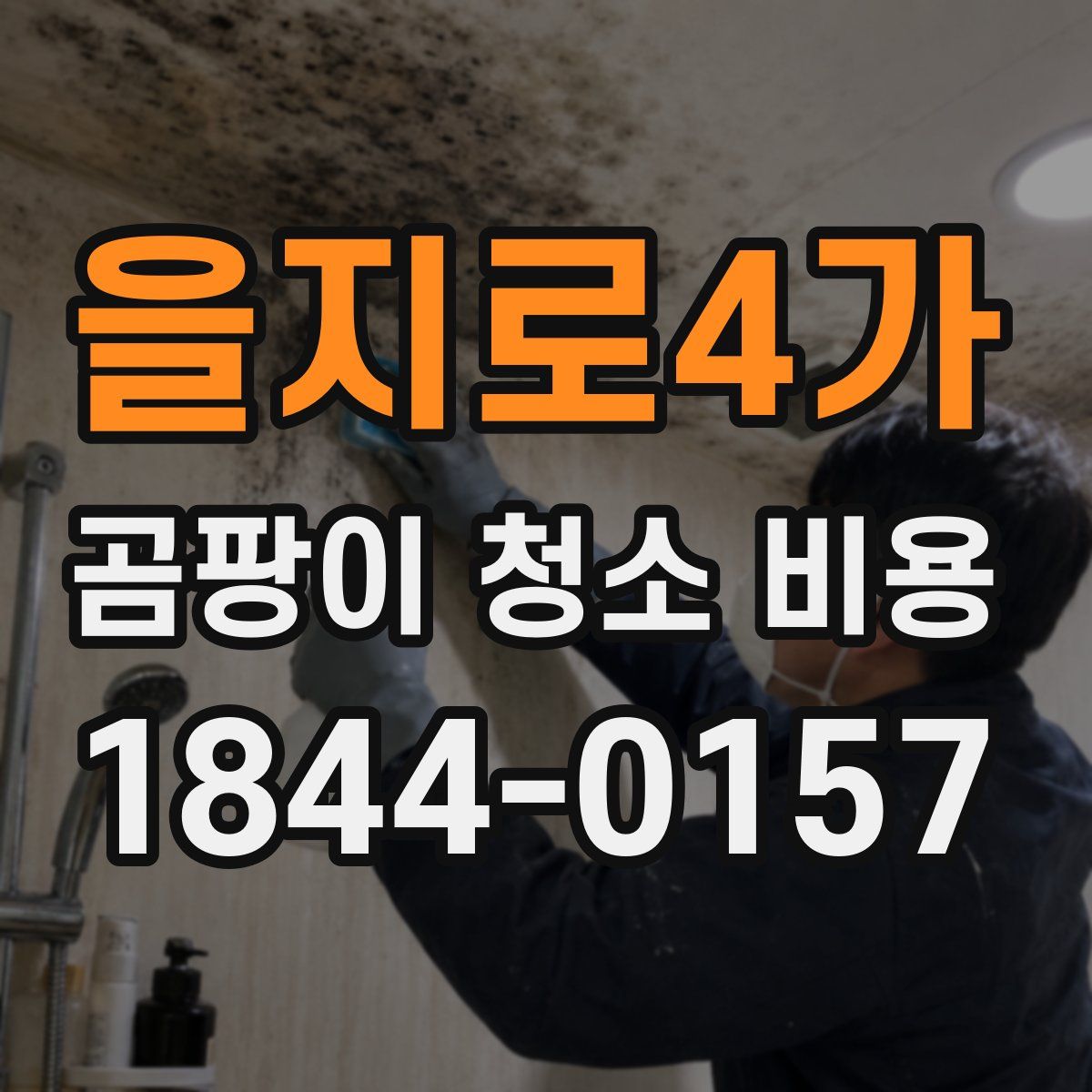 을지로4가 곰팡이 청소 비용