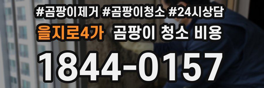 을지로4가 곰팡이 청소 비용