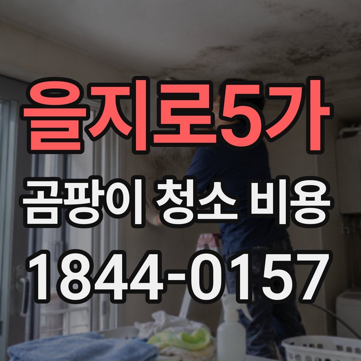 을지로5가 곰팡이 청소 비용 가구와 가전 주변 작업 범위 알아보기