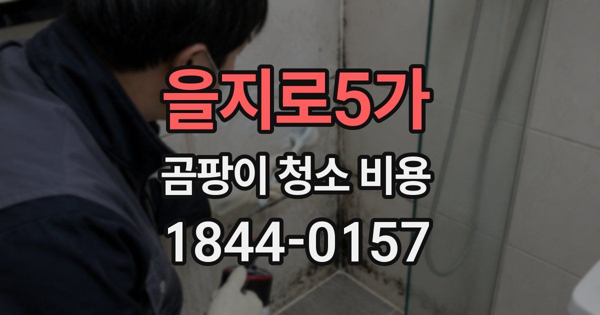 을지로5가 곰팡이 청소 비용