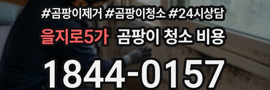 을지로5가 곰팡이 청소 비용
