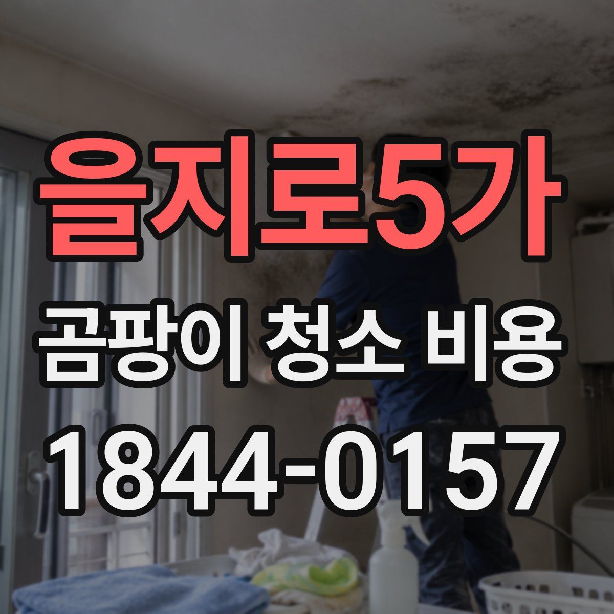 을지로5가 곰팡이 청소 비용