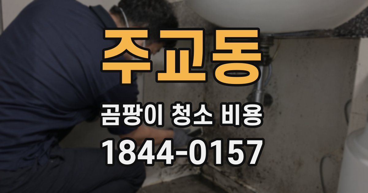 주교동 곰팡이 청소 비용