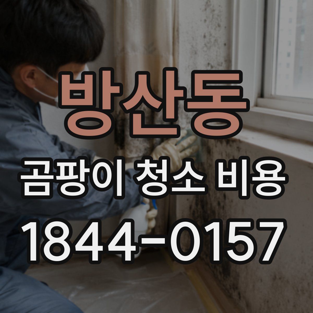방산동 곰팡이 청소 비용