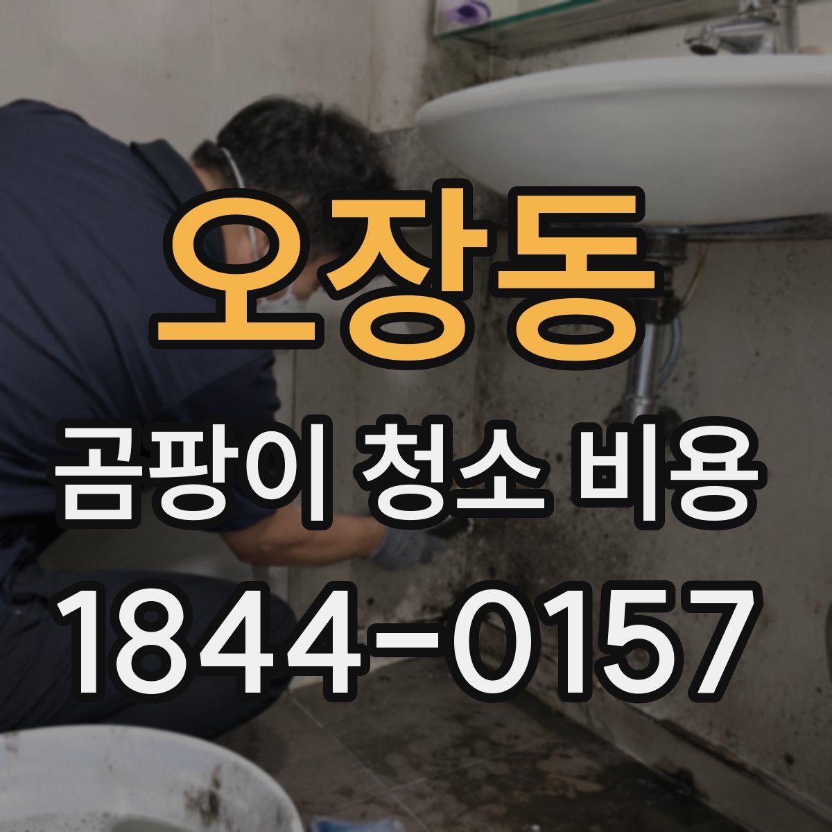 오장동 곰팡이 청소 비용