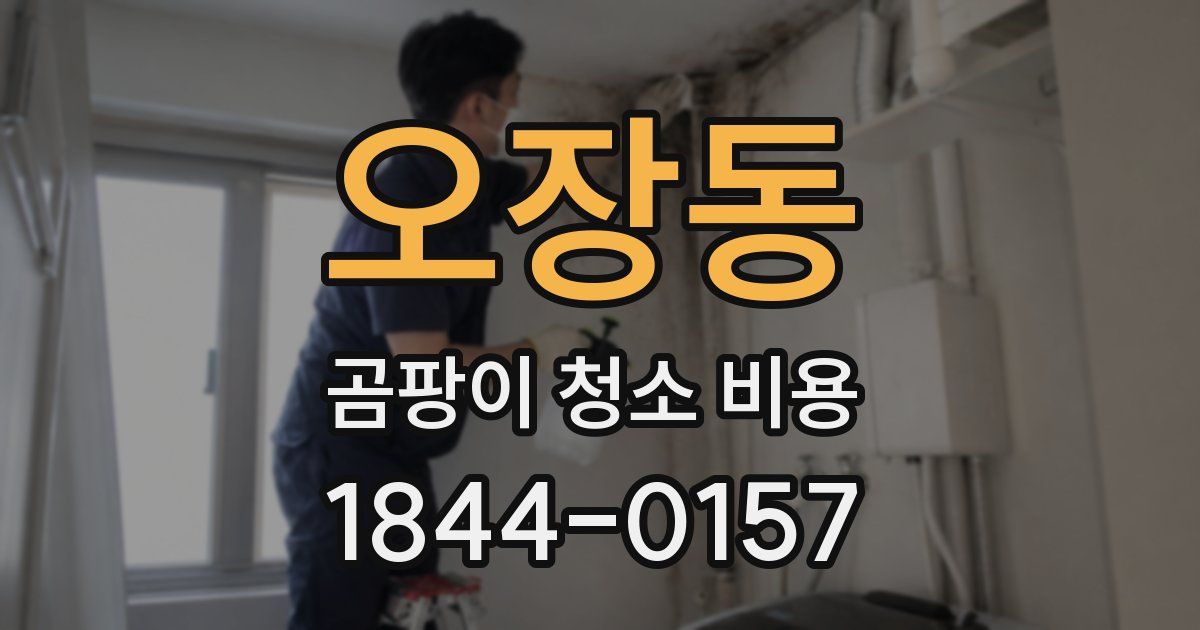 오장동 곰팡이 청소 비용