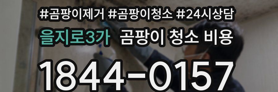 을지로3가 곰팡이 청소 비용