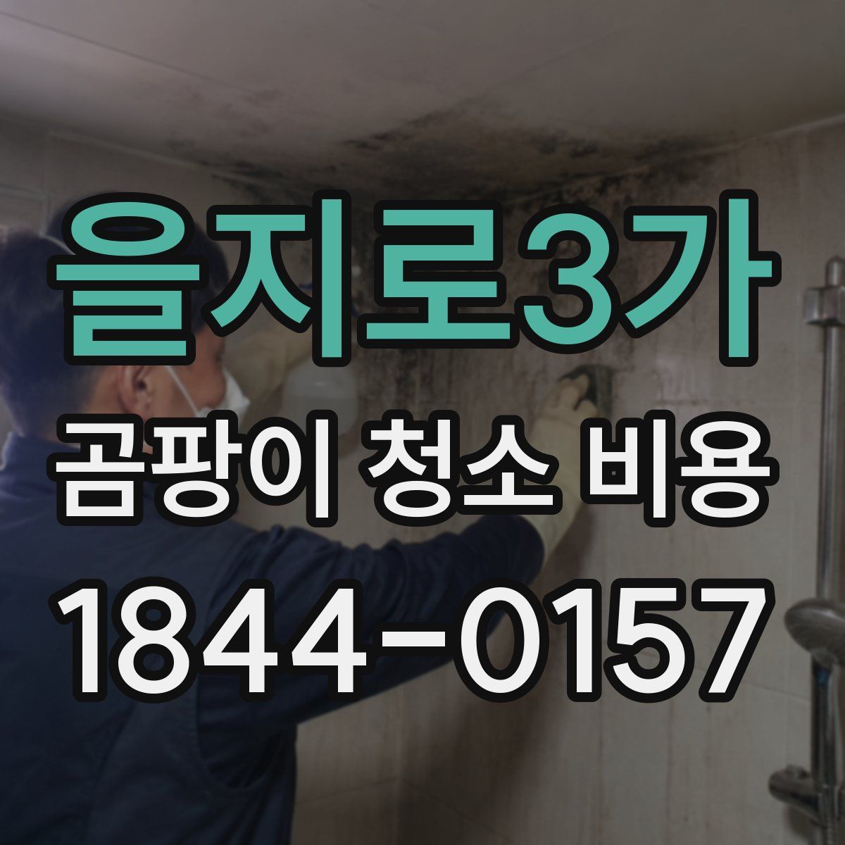 을지로3가 곰팡이 청소 비용