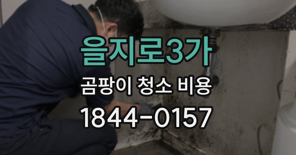 을지로3가 곰팡이 청소 비용