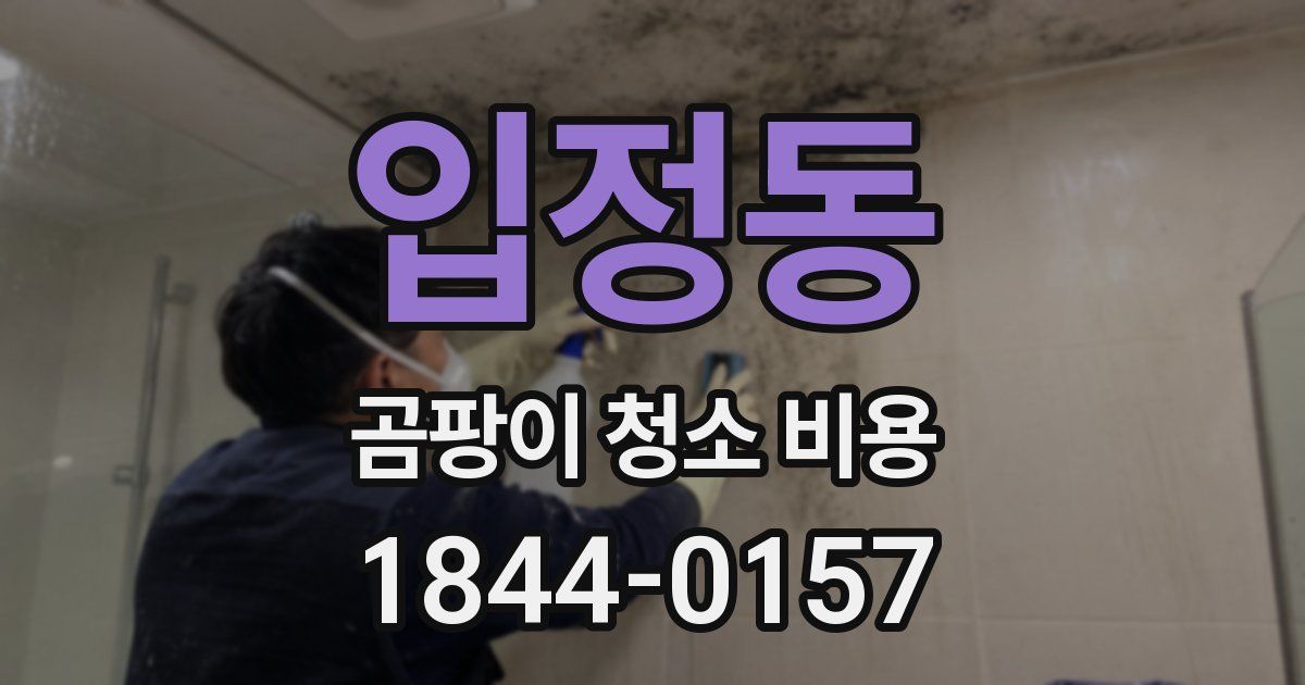 입정동 곰팡이 청소 비용
