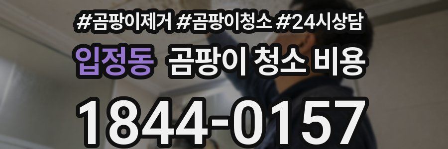 입정동 곰팡이 청소 비용
