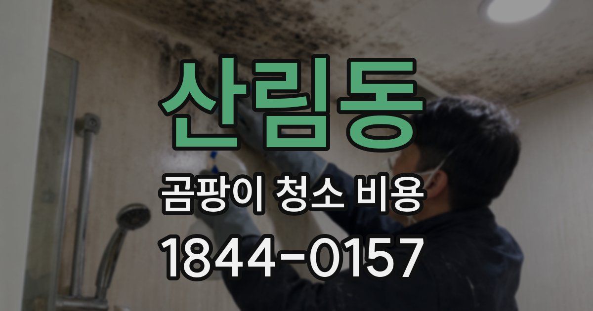 산림동 곰팡이 청소 비용