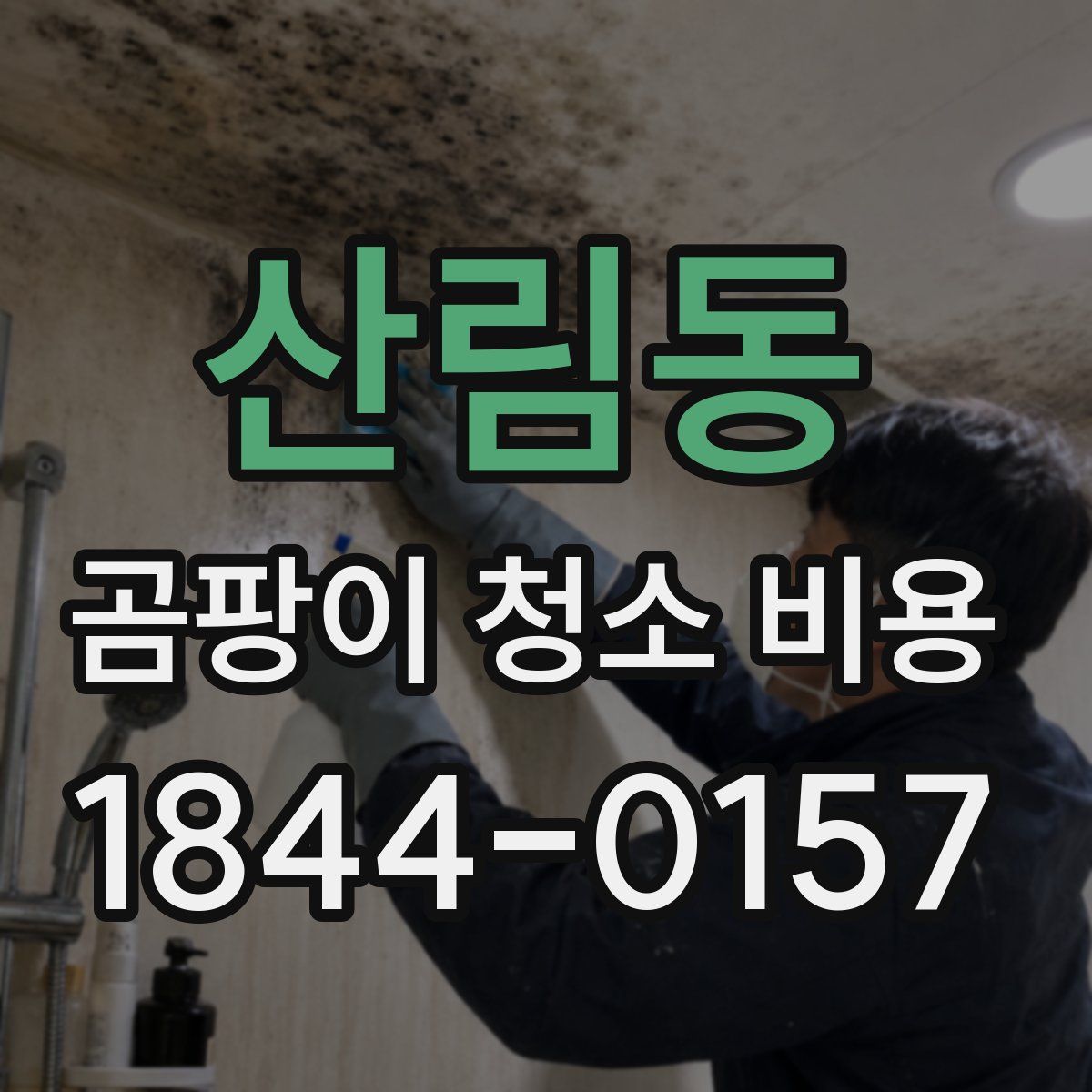 산림동 곰팡이 청소 비용