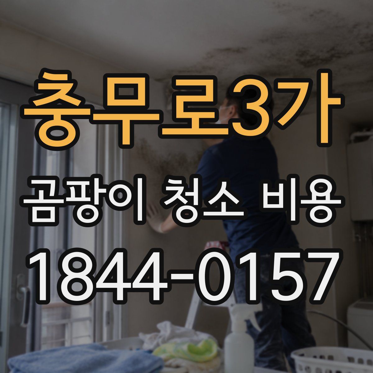 충무로3가 곰팡이 청소 비용