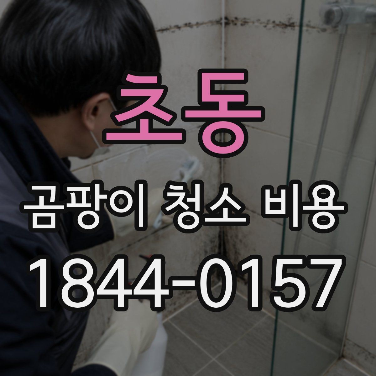 초동 곰팡이 청소 비용 오래된 곰팡이와 최근 번짐을 구분하는 방법