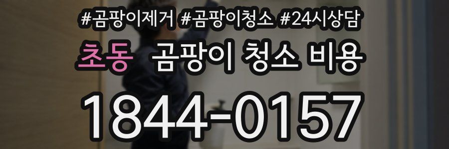 초동 곰팡이 청소 비용